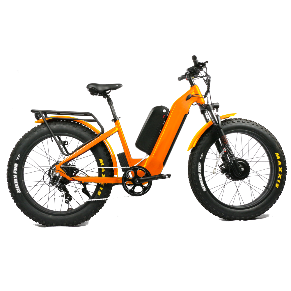 저렴한 가격의 1000W 고출력 듀얼 모터 전기 산악자 - Dual Motor Electric Motorcycle Frame 리뷰 및 가격